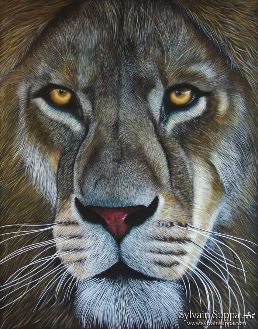 Lion, Painting by Sylvain Suppa | ArtMajeur