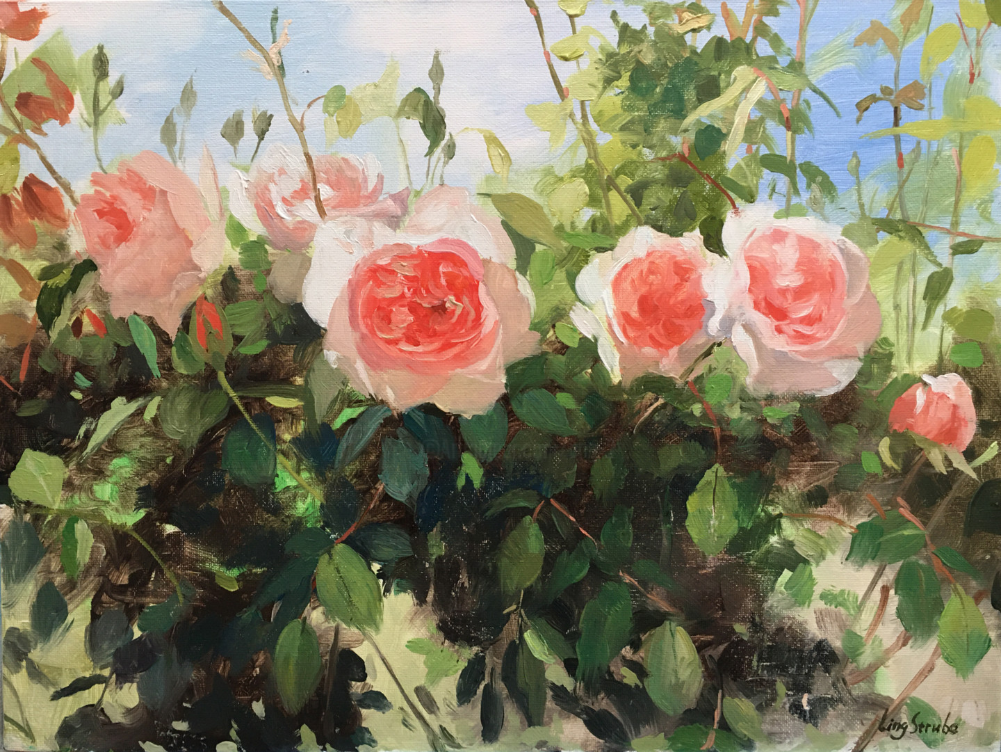 13618877_garden-rose-4.jpg?v=