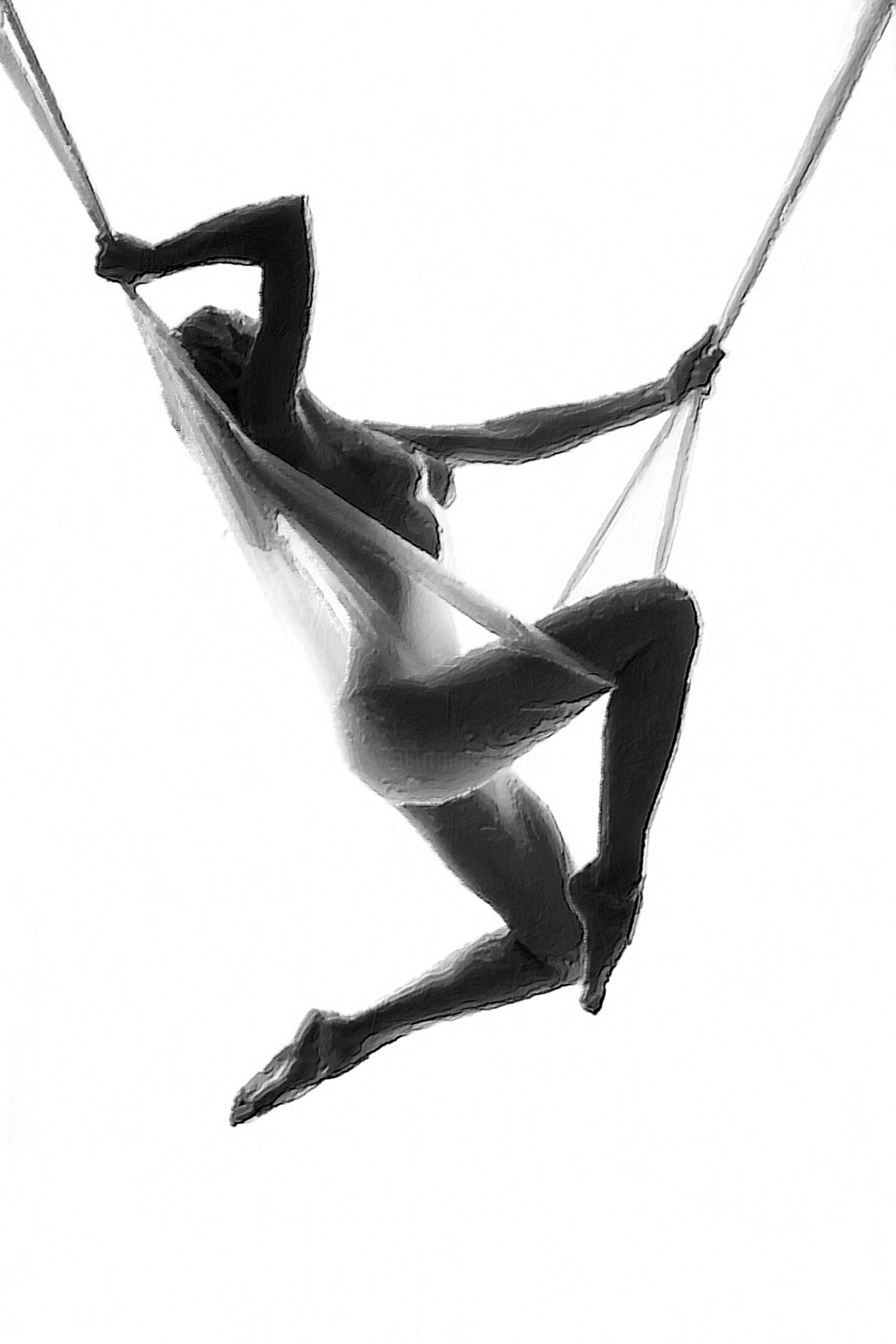 オールヌード　アクロバット Nude Woman Suspended On Silk Black On Wh, 絵画 Tony Rubinoによって | ArtMajeur