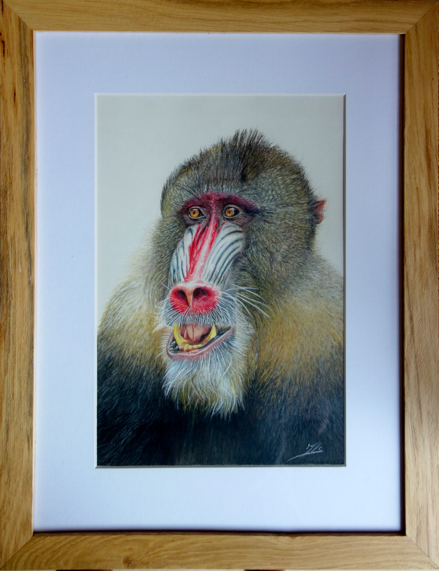 15944167_2_mandrill-encadre-am