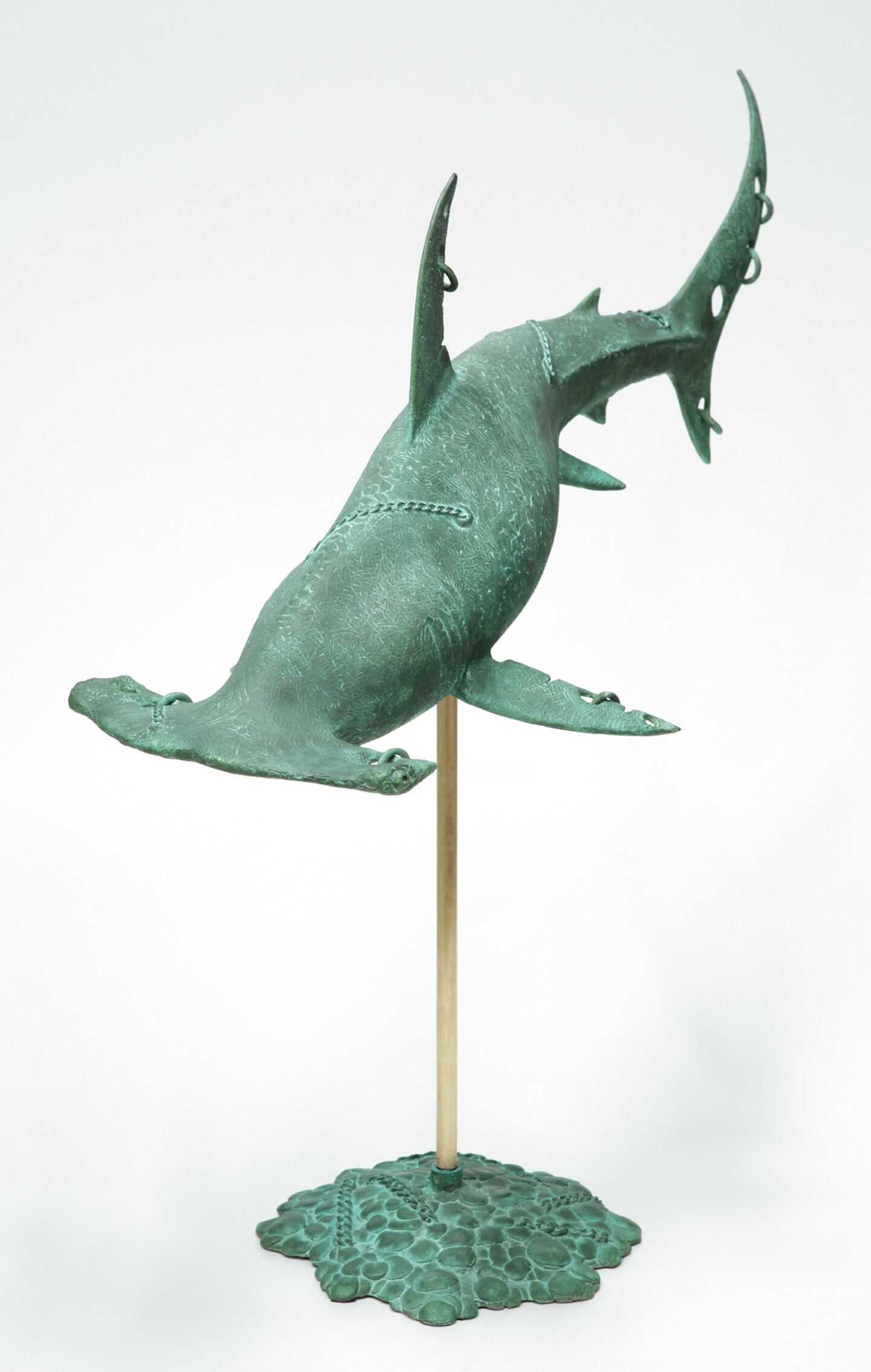 Hammer Head Shark |