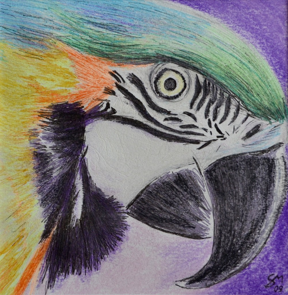 油絵pappa gallo Pappagallo, 絵画 Stefano Di Marcoによって | ArtMajeur