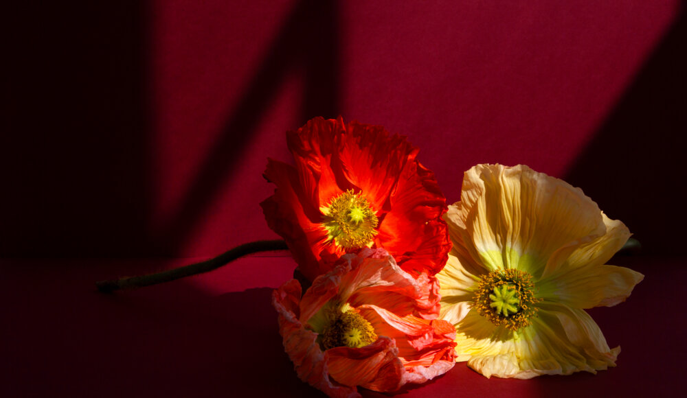 Online art gallery