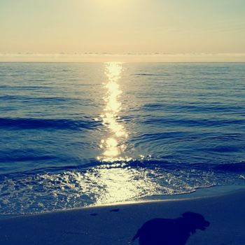 Φωτογραφία με τίτλο "Plénitude" από Isabelle Pautrot, Αυθεντικά έργα τέχνης