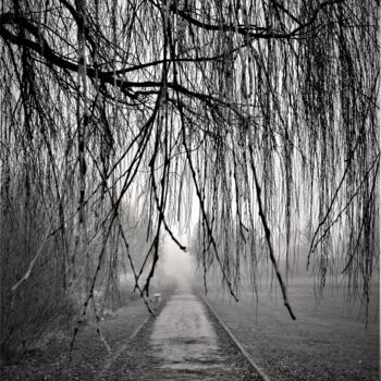 Photographie intitulée "ouverture sur le br…" par Virginie Dartois, Œuvre d'art originale, Photographie non manipulée