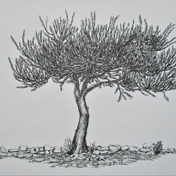 Drawing titled "L'olivier au pied d…" by Isabelle Stagg, Original Artwork, Ink