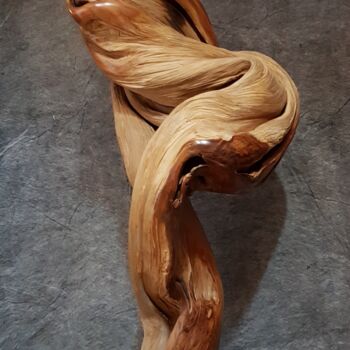 Sculptuur getiteld "Alien" door Bernard Geoffroy, Origineel Kunstwerk, Hout