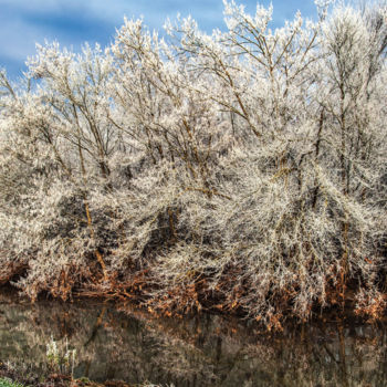 Photography titled "GIVRE" by Karine Revillon, Original Artwork
