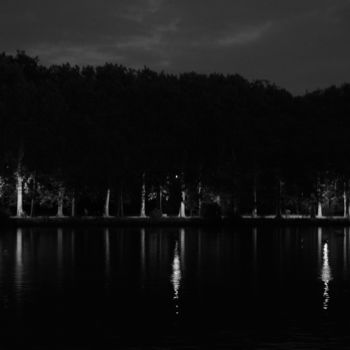 Fotografie mit dem Titel "L'île aux bois blan…" von Marie Louis, Original-Kunstwerk
