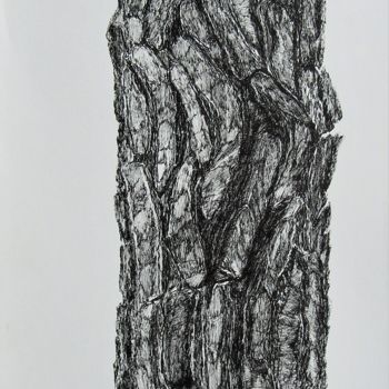 Drawing titled "ecorce-de-pin.jpg" by Isabelle Stagg, Original Artwork, Ink