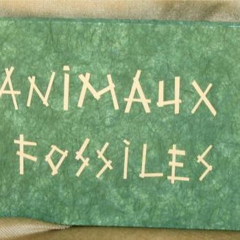 绘画 标题为“Animaux fossiles (v…” 由Serge Chamchinov, 原创艺术品