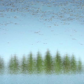 Photography titled "IMPRESSIONISM IX: "…" by Curtis H. Jones, Original Artwork, Digital Photography Mounted on Wood Stretche…