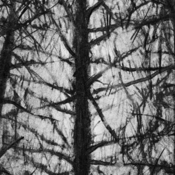 Drawing titled "9.jpg" by Sébastien Bocquet, Original Artwork