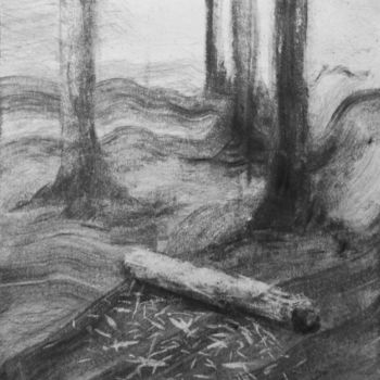 Drawing titled "12.jpg" by Sébastien Bocquet, Original Artwork
