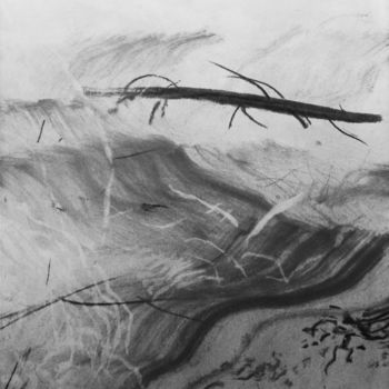 Tekening getiteld "14.jpg" door Sébastien Bocquet, Origineel Kunstwerk