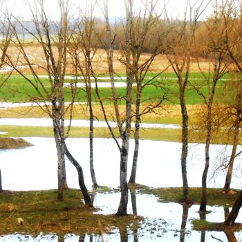 Fotografie mit dem Titel "Arbres tactiles...." von Pascal Collin, Original-Kunstwerk