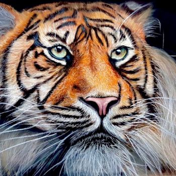 Drawing titled "Tiger" by Florian Leu, Original Artwork, Pastel