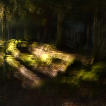 Fotografie mit dem Titel "The Forest....." von Philippe Berthier, Original-Kunstwerk, Digitale Fotografie
