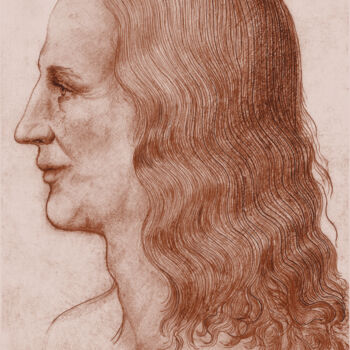 Dibujo titulada "2-leonardo-face-rec…" por Michael Schwahn, Obra de arte original, Fotografía digital