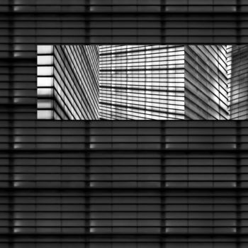 Photography titled "HYLEMORPHO KAM 001…" by Gabriel Caneda, Original Artwork, Digital Photography Mounted on Aluminium