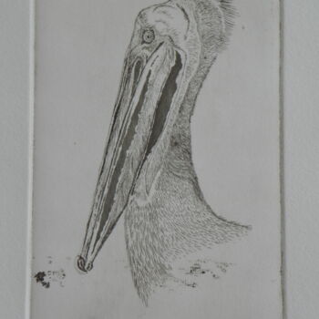 Gravures & estampes intitulée "Pélican02" par Hélène Mongin, Œuvre d'art originale, Eau-forte
