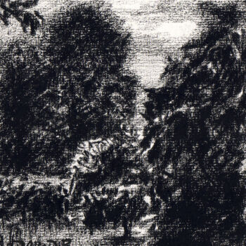 Dessin intitulée "Végétation" par David Benayoun, Œuvre d'art originale, Crayon