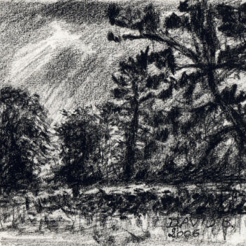 Dessin intitulée "Parc" par David Benayoun, Œuvre d'art originale, Crayon