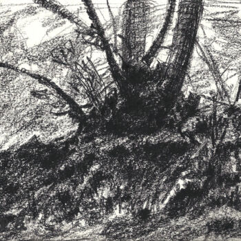 Dessin intitulée "Un Arbre (croquis)" par David Benayoun, Œuvre d'art originale, Crayon