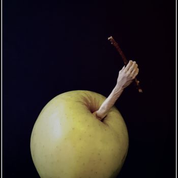 Photography titled "What??" by Jan Schrijver, Original Artwork