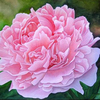 Malarstwo zatytułowany „Peonie” autorstwa Anita Burnaz, Oryginalna praca, Akwarela