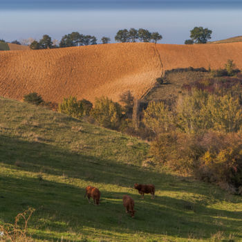 Photographie intitulée "Paysage Saint Chris…" par Nicolas Bernié, Œuvre d'art originale