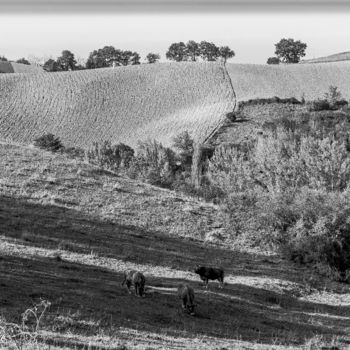Photographie intitulée "Paysage Saint Chris…" par Nicolas Bernié, Œuvre d'art originale