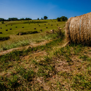 Photographie intitulée "Paysage Terrebasse" par Nicolas Bernié, Œuvre d'art originale