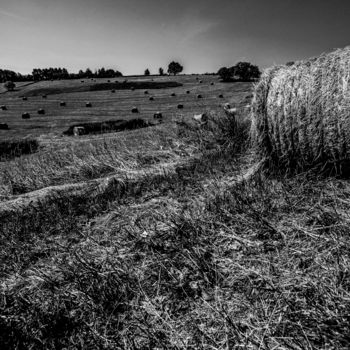 Photographie intitulée "Paysage Terrebasse…" par Nicolas Bernié, Œuvre d'art originale