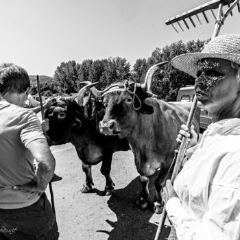 Photographie intitulée "Autrefois le Couser…" par Nicolas Bernié, Œuvre d'art originale