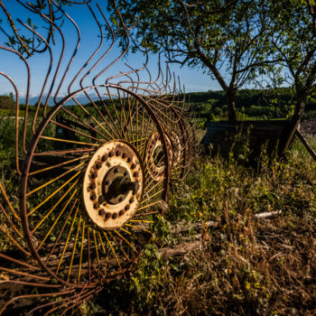 Photographie intitulée "Papillon" par Nicolas Bernié, Œuvre d'art originale