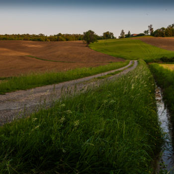 Photographie intitulée "Paysage Alan" par Nicolas Bernié, Œuvre d'art originale