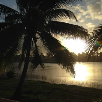 Fotografia intitulada "Coconut Trees" por Rafaela Sabino, Obras de arte originais