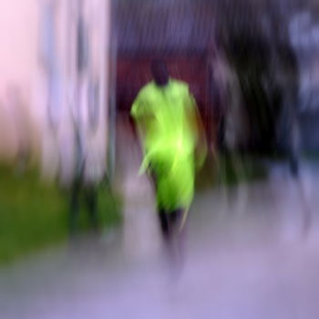Photography titled "Le survivant... Sér…" by Pascal Adams, Original Artwork