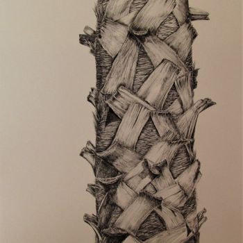 Drawing titled "tronc-de-palmier.jpg" by Isabelle Stagg, Original Artwork, Ink