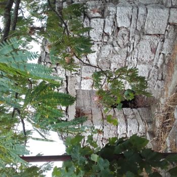 제목이 "Nature, Otok Vis, C…"인 사진 Marija Sviličić로, 원작, 조작되지 않은 사진