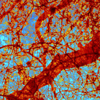Digitale Kunst mit dem Titel "Brain 3" von Julianna Dávid, Original-Kunstwerk, Andere