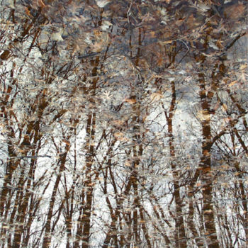 Photography titled "NATURALLY SURREAL V…" by Curtis H. Jones, Original Artwork, Digital Photography Mounted on Wood Stretche…