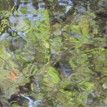 摄影 标题为“Abstract Nature IV…” 由Curtis H. Jones, 原创艺术品, 数码摄影