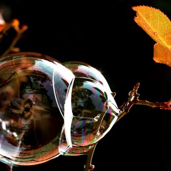 Photographie intitulée "Mystère" par Patrick Vincent, Œuvre d'art originale, Photographie numérique Monté sur Aluminium