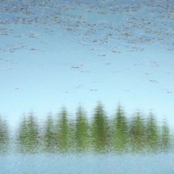 摄影 标题为“IMPRESSIONISM IX: "…” 由Curtis H. Jones, 原创艺术品, 数码摄影 安装在木质担架架上