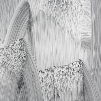 Fotografie getiteld "envolée blanche.jpg" door Elisabeth Laplante, Origineel Kunstwerk, Digitale fotografie