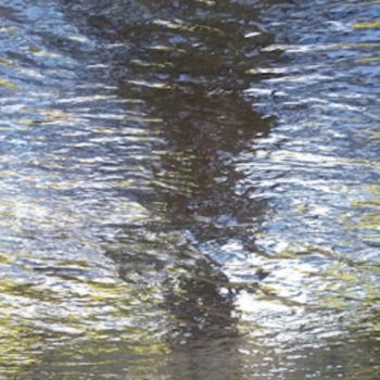 Φωτογραφία με τίτλο "Abstract Nature I -…" από Curtis H. Jones, Αυθεντικά έργα τέχνης, Ψηφιακή φωτογραφία Τοποθετήθηκε στο Ξ…