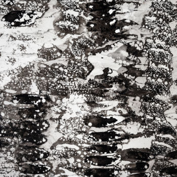 제목이 "chine sept.jpg"인 사진 Elisabeth Laplante로, 원작, 디지털
