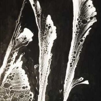 Peinture intitulée "Fleur de lune" par R Devarrewaere, Œuvre d'art originale, Acrylique